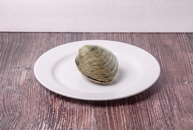 Clam 1 lb.